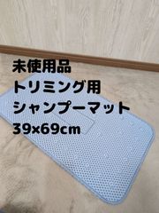 Item thumbnail for item 998b83ca-1f3c-48d5-ac0c-bf0818c05119