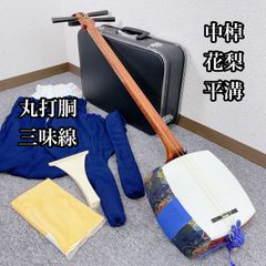 Item thumbnail for item 6c14103f-9e3f-4892-9ed0-aaffac9e135b