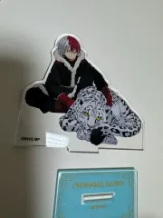 ヒロアカ 轟 焦凍 10Girl アークス アクリル