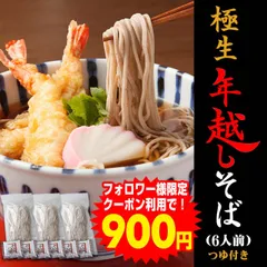 当日発送(17時頃迄)　もっちり感！【極生 讃岐そば   蕎麦つゆ付きセット 6人前】 鎌田醤油製　訳あり簡易パッケージ、簡易包装 年越し蕎麦に♪　　（SB）