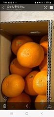 色選4回、リピーター続出】静岡県産餅米まんげつもち」白米（玄米変更