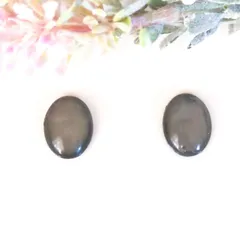 no.392　レジン　楕円型　ブラック　マグネット　ピアス　イヤリング　ハンドメイド