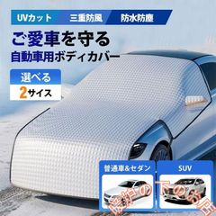 Item thumbnail for item 0d84869f-50e5-42f6-8108-2ac43aef51b8