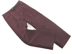 新品 THE NORTH FACE ザノースフェイス NBW82031 ローム パンツ sizeM/茶 ◇■ レディース