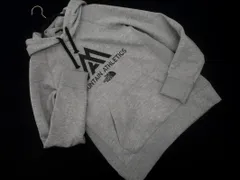 THE NORTH FACE ザノースフェイス NT61795 カラーヘザード プルオーバー パーカー sizeS/グレー ◇■ メンズ