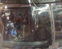 Item thumbnail for item d5f43e66-0f67-4696-bc2e-99185bdd3b52