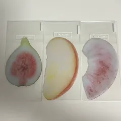 (まとめ売り) イ・オク・トゥー 本 しおり いちじく りんご もも