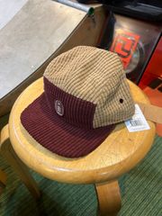 COACH ディノプリント ビーニーキャップ Dino Print Knit Beanie
