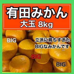 みかん始め　BIG　8kg  【大玉みかん】【有田みかん】【訳あり】