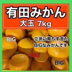 みかん始め　BIG　7kg 【大玉みかん】【有田みかん】【訳あり】