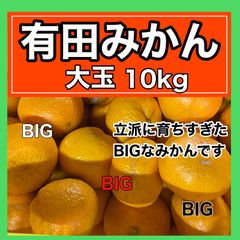 みかん始め　BIG　10kg 【大玉みかん】【有田みかん】【訳あり】