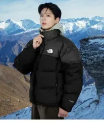 THE NORTH FACE ザノースフェイス リーマスター ダウン ジャケット ヌプシ 100 ラージ