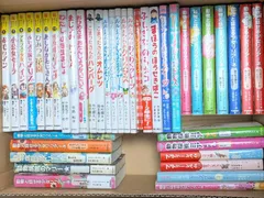 【児童書】小学校の女の子向け児童書 40冊セット まとめ売り 動物と話せる少女リリアーネ シリーズ 10冊/ルルとララ シリーズ 6冊/10歳までに読みたい世界名作 シリーズ 7冊 など