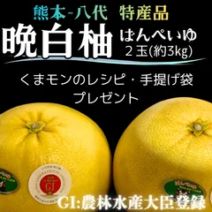 熊本県産 八代 晩白柚 ばんぺいゆ 2玉 約3kg 専用 化粧箱入 贈答品 ギフト くまモン 手提げ袋 レシピ セット 特産 柑橘 類 フルーツ 果物 巨大 お風呂 皮 砂糖漬け 名産 お土産 旬 の 味覚