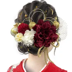 [JZOON] 成人式 髪飾り【10色展開】ドライフラワー ダリア あじさい かすみ草 造花飾り ヘアアクセサリー 和玉 赤 ゴールド 水引 ヘッドパーツ 振袖 着物 卒業式 七五三 浴衣 袴 結婚式用 手作り 専用ケース付き Y3339 赤