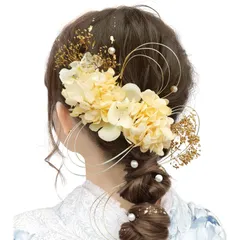 [Baramoly] 髪飾り 成人式 和装小物 卒業式 結婚式 和装 着物 袴 振袖 プリザーブドフラワー かすみ草 あじさい ヘアアクセサリー 水引 専用ケース付き ZZ301 金 ゴールド