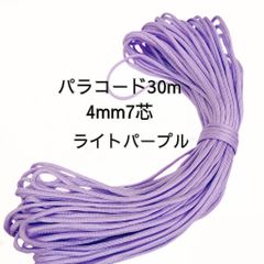 Item thumbnail for item 41c2528d-54df-4f1a-ad1d-82d3be35c2d0