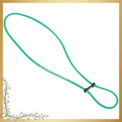 Item thumbnail for item 4037bae2-7217-4519-9968-87c6144398c0