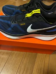 NIKE ストラクチャー25   28.5cm