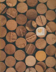 2117: Celebrating the 100th Anniversary of the Iconic