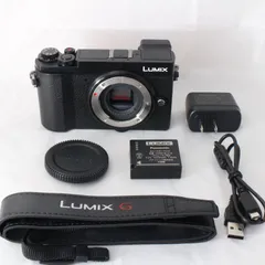 2025年最新】LUMIX DC-GX7MK3の人気アイテム - メルカリ