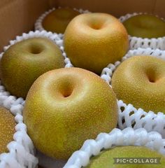 希少☆訳あり大量☆呉羽梨☆新高☆新興☆８〜１０玉入箱☆限定破格☆富山県産☆