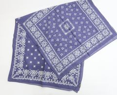 Item thumbnail for item 183efc0c-4dd6-4ba0-ad95-ea30aaacab2f