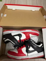 ナイキxNBA ダンク ロー レトロ EMB 250