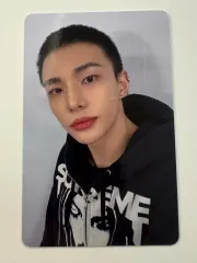 Stray Kids(ストレイキッズ・スキズ・SKZ) スキズ karma SKZOO ネモ NEMO ヒョンジン(HYUNJIN)