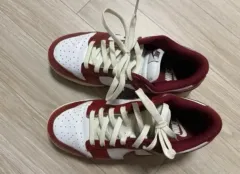 ナイキ ダンク ロー レトロ プレミアム チーム レッド (260 サイズ)