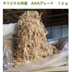 水苔 ONE MILE MOSS ニュージーランド産 AAAA 1kg - メルカリ