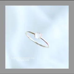 Y.Kくま様おまとめ買い専用