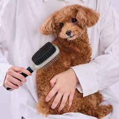 Item thumbnail for item f862c6a2-8895-4e21-946d-904f5f8456f4