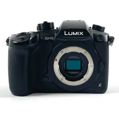 2025年最新】dc-gh5 中古の人気アイテム - メルカリ