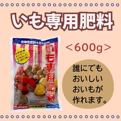 北海道産 玉ねぎ 苗 北もみじ2000 - メルカリ