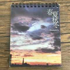 Steady&Co. 春夏秋冬 staygold 2枚セット - メルカリ