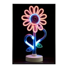 Hublot Murakami 花型ペンダントライト - メルカリ
