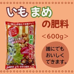 北海道産 玉ねぎ 苗 北もみじ2000 - メルカリ