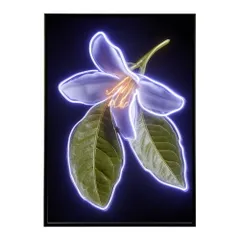 【A1サイズ（約59x84cm）】【lm-poster-4738】【フレーム付き】ネオン 光 光彩 ライト ネオン管 カラフル サイバー 電飾 カフェ バー ポスター イラスト