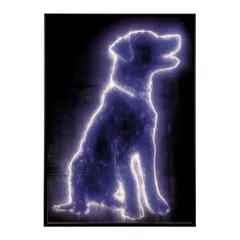 【A2サイズ（約42x59cm）】【lm-poster-4827】【フレーム付き】ネオン 光 光彩 ライト ネオン管 カラフル サイバー 電飾 カフェ バー ポスター イラスト