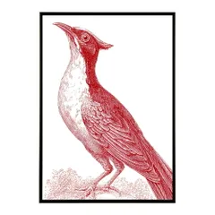 【A0サイズ（約84x119cm）】【lm-poster-5022】【フレーム付き】アートポスター 動物 カラフル ペイントアート 光沢 水彩画風 モダン 壁掛け アニマルアート 鹿 狐 狼 猫 虎 兎 シリーズ 絵画風 イラスト