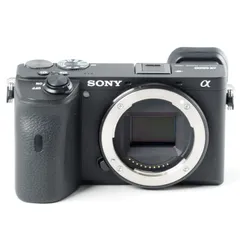 2025年最新】SONY(ソニー) ミラーレス一眼 α6600 ボディ ブラック ILCE