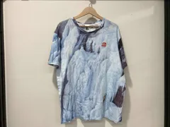 Supreme × THE NORTH FACE  シュプリーム × ザノースフェイス Ice Climb Tee アイスクライム 半袖Tシャツ カットソー L NT32100I メンズ