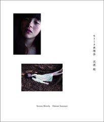 Item thumbnail for item f0c02058-ea2d-434f-b7af-b6f4187554ea