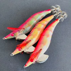 2025年最新】エギング王の人気アイテム - メルカリ