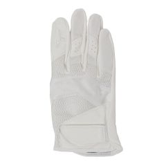 Item thumbnail for item c0bf3917-debb-46cb-8a99-841b9d36b067