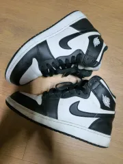ナイキ ジョーダン1 レトロ ハイ OG エアジョーダン1 (245)