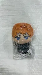 MR-01744 ヒプマイ ヒプノシスマイク ぬいぐるみ ちびぐるみ 毒島メイソン理鶯 新品タグ付