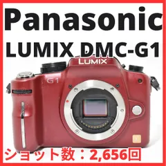 2026年最新】LUMIX G1の人気アイテム - メルカリ