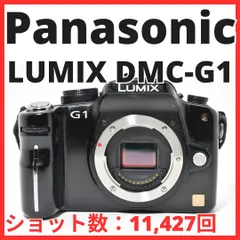 2026年最新】Lumix g1の人気アイテム - メルカリ